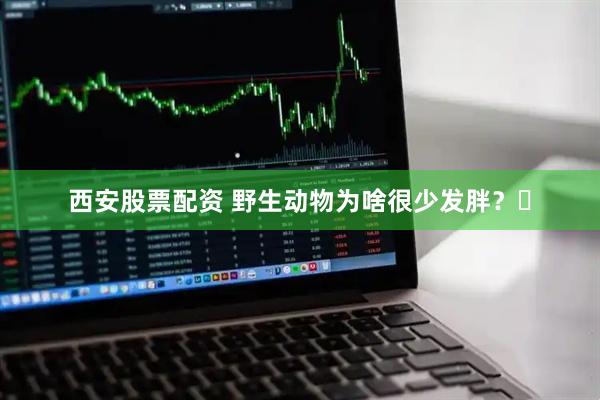 西安股票配资 野生动物为啥很少发胖？​