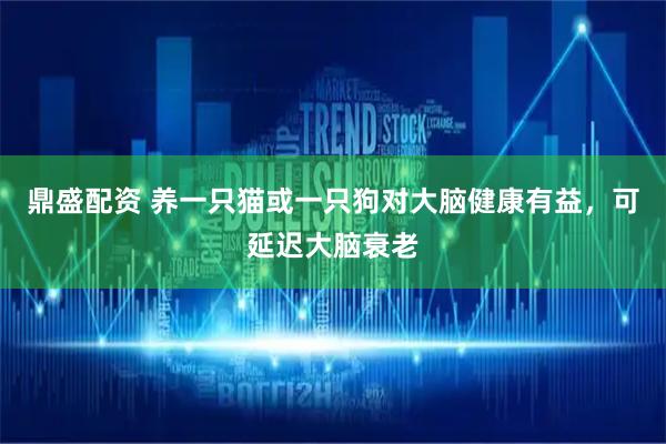 鼎盛配资 养一只猫或一只狗对大脑健康有益，可延迟大脑衰老