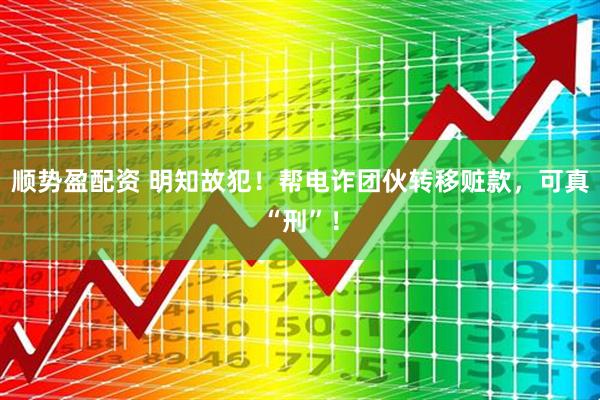 顺势盈配资 明知故犯！帮电诈团伙转移赃款，可真“刑”！