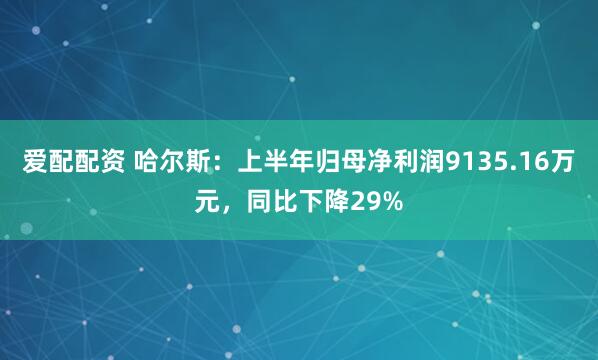 爱配配资 哈尔斯：上半年归母净利润9135.16万元，同比下降29%