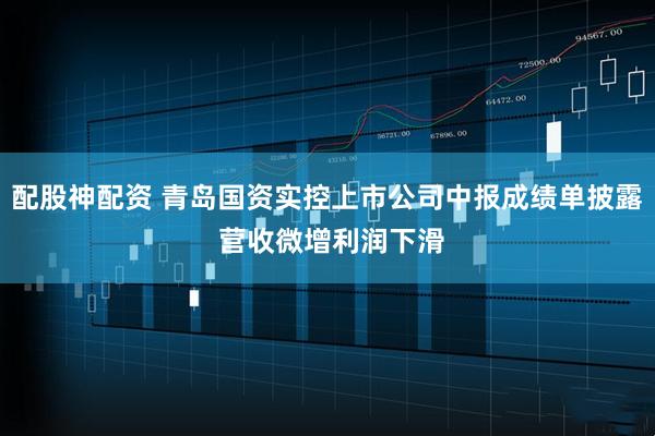 配股神配资 青岛国资实控上市公司中报成绩单披露 营收微增利润下滑