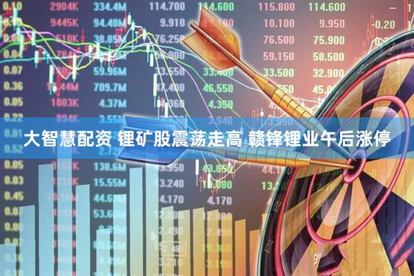 大智慧配资 锂矿股震荡走高 赣锋锂业午后涨停