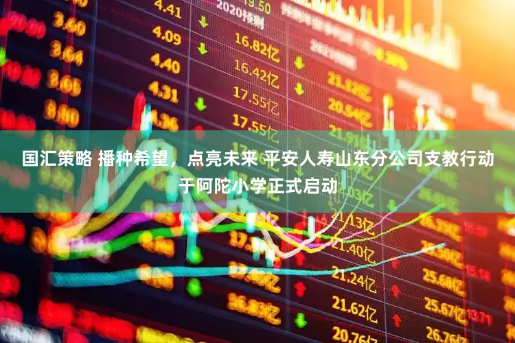 国汇策略 播种希望，点亮未来 平安人寿山东分公司支教行动于阿陀小学正式启动